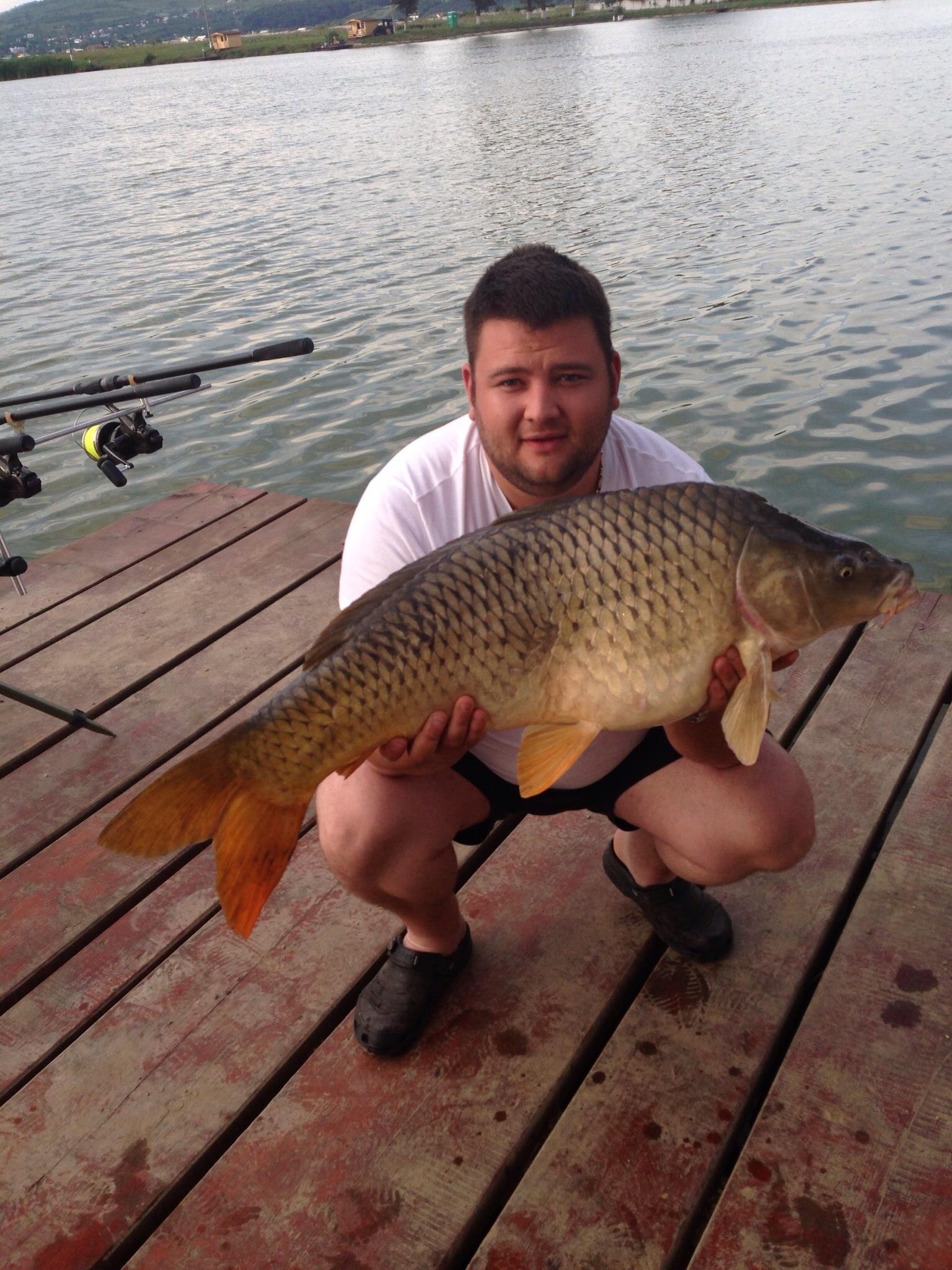 Pleasa 2013 - image1111111111.jpg